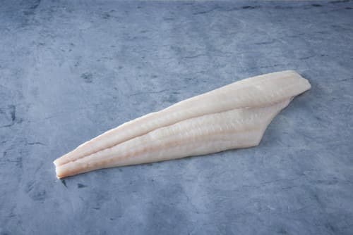 Halibut Fillet