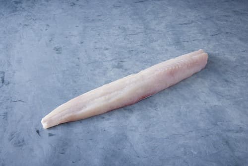 Ling Cod